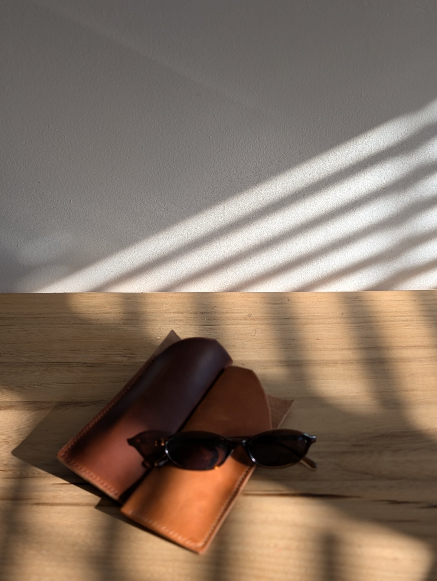 Glasses Case
