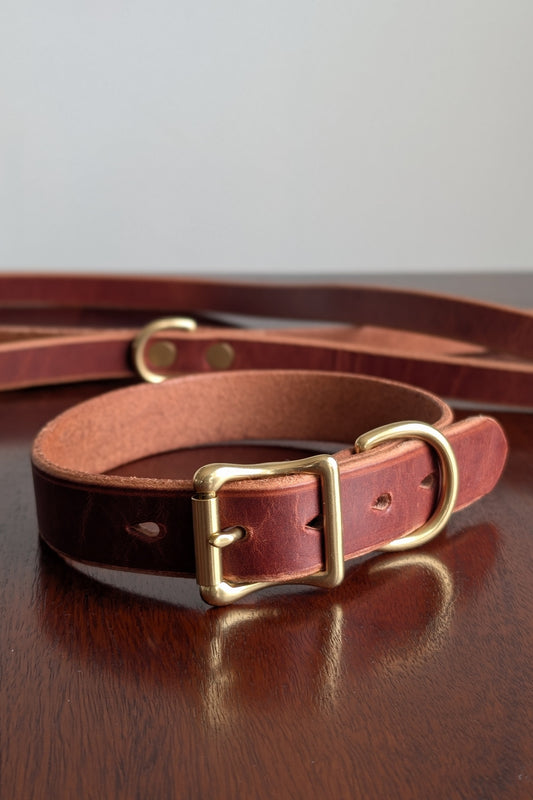 Dog Collar